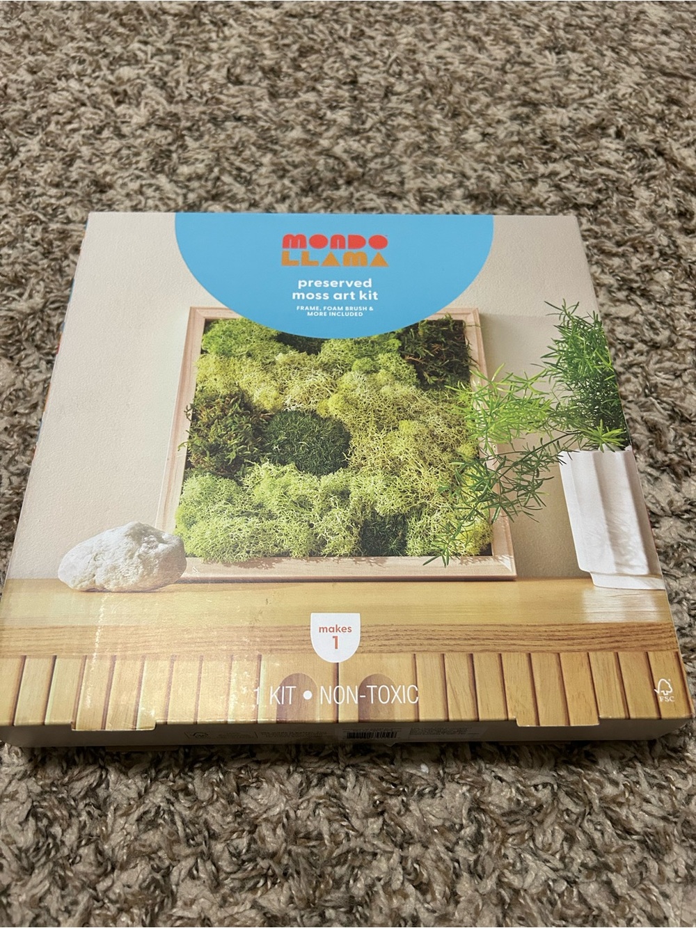 Mondo Llama Preserved Moss Art Kit - Green
